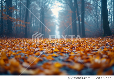 Colorful leaves blanket forest ground warm tones calm afternoon. rich texture and layers showcase beauty autumn gentle haze distance. 120992356