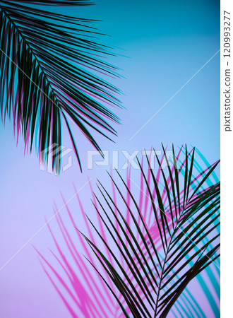 Tropical palm leaves with neon gradient background Tropical palm leaves with neon gradient background 120993277