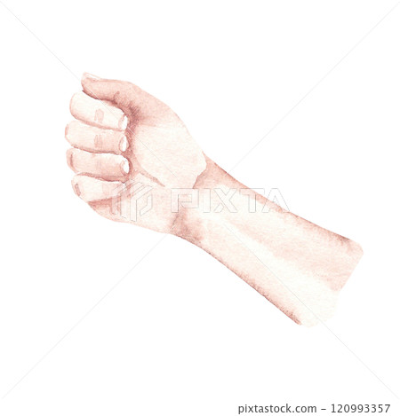 Man Hand in a Fist. Watercolor hand drawn illustration in realistic style isolated on a white background. Design element of arm holding something or prepared for blood donation. 120993357
