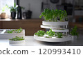 Discover a stylish indoor hydroponic herb garden that offers fresh greens for your kitchen 120993410