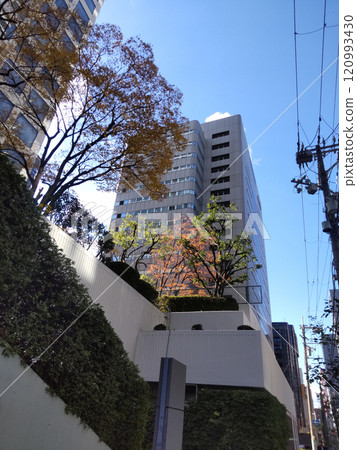 Cityscape: Buildings in the area around Sakaisuji Honmachi Station 120993430