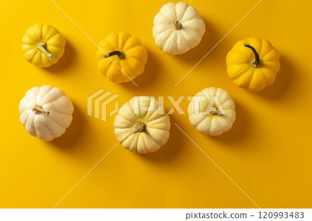 flat lay of pumpkins on a yellow background flat lay of pumpkins on a yellow background 120993483