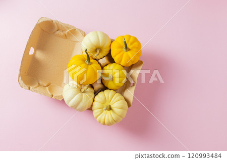 pumpkins in a container for eggs on a light pink background pumpkins in a container for eggs on a light pink background 120993484