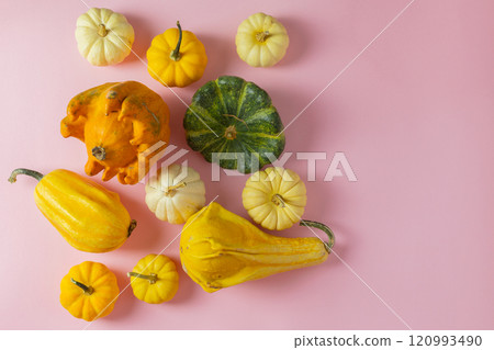 pumpkins of different shapes on a light pink background 120993490