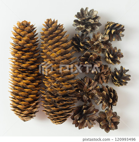 cones of different shapes, texture of cones cones of different shapes, texture of cones 120993496