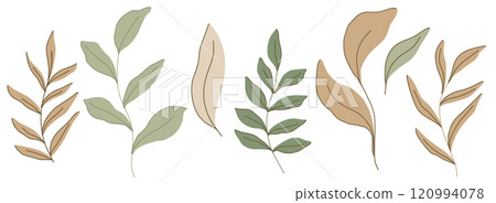 Minimalistic vector flat botanical illustration with various green and beige leaves and branches, showcasing earthy spring vibe. Perfect for nature inspired design projects or eco friendly themes 120994078
