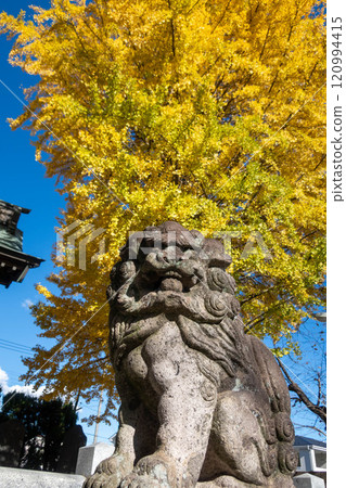 前橋市愛宕神社的守護犬 前橋市愛宕神社的守護犬 120994415