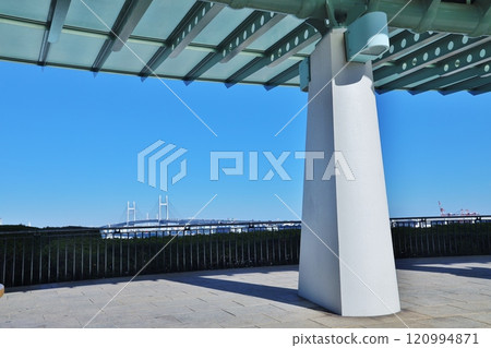Bay Bridge seen from a hill park with a view of the harbor Bay Bridge seen from a hill park with a view of the harbor 120994871