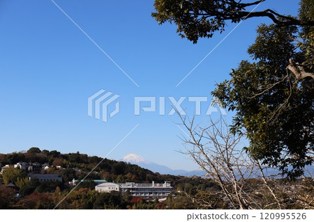 從圓覺寺弁天堂看到的富士山 120995526