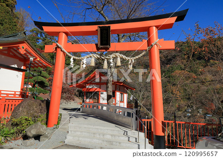 昇仙峽 金峰山金櫻神社正殿鳥居 120995657