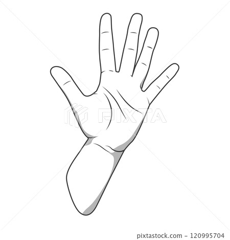 Palm hand number five gesture vector illustration Palm hand number five gesture vector illustration 120995704