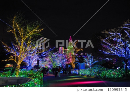 Yomiuri Land Illuminations Inagi City & Kawasaki City, Tokyo 120995845