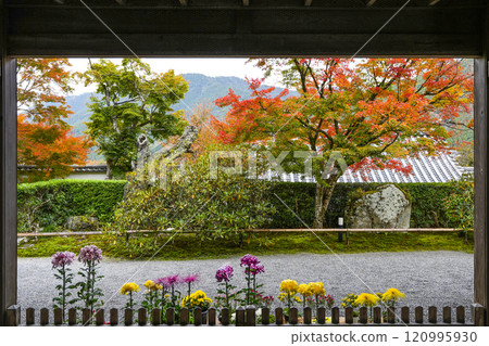 秋天的京都、大原三千院境內(從客房入口處) 秋天的京都、大原三千院境內(從客房入口處) 120995930