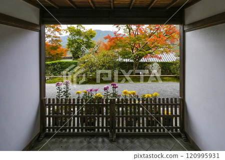 Kyoto, Autumn in the grounds of Sanzen-in Temple in Ohara (from the entrance to the reception hall) Kyoto, Autumn in the grounds of Sanzen-in Temple in Ohara (from the entrance to the reception hall) 120995931