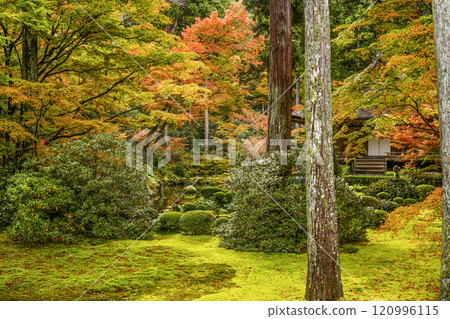 Kyoto, Autumn in Ohara Sanzen-in Temple, Yusei-en Kyoto, Autumn in Ohara Sanzen-in Temple, Yusei-en 120996115