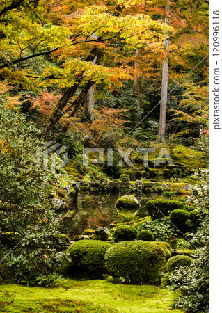 京都之秋 大原三禪院遊青園 京都之秋 大原三禪院遊青園 120996118