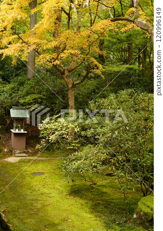 Kyoto, Autumn in Ohara Sanzen-in Temple, Yusei-en Kyoto, Autumn in Ohara Sanzen-in Temple, Yusei-en 120996149