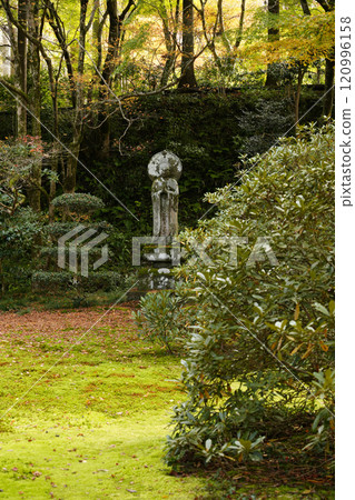 京都之秋 大原三禪院遊青園 京都之秋 大原三禪院遊青園 120996158
