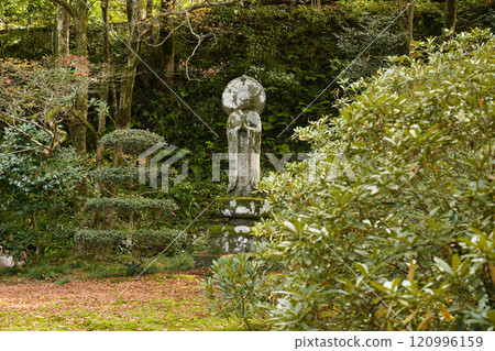 京都之秋 大原三禪院遊青園 京都之秋 大原三禪院遊青園 120996159