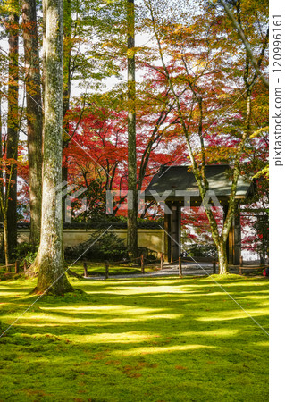 Kyoto, Autumn in Ohara Sanzen-in Temple, Western Gate 120996161