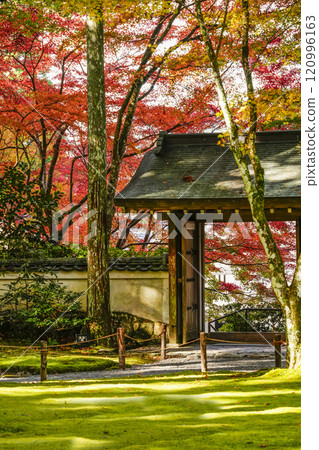 Kyoto, Autumn in Ohara Sanzen-in Temple, Western Gate Kyoto, Autumn in Ohara Sanzen-in Temple, Western Gate 120996163