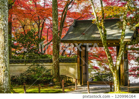 Kyoto, Autumn in Ohara Sanzen-in Temple, Western Gate Kyoto, Autumn in Ohara Sanzen-in Temple, Western Gate 120996164