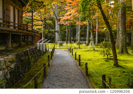 秋天的京都、大原三千院境內 秋天的京都、大原三千院境內 120996208