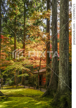 秋天的京都、大原三千院境內 秋天的京都、大原三千院境內 120996221