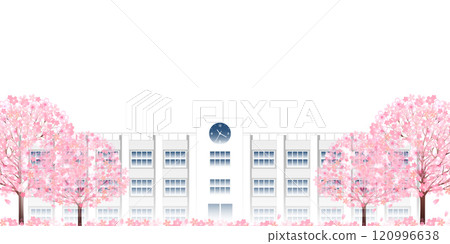 Cherry blossom school landscape background Cherry blossom school landscape background 120996638