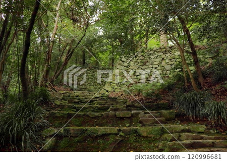 宇和島城本丸登山路(愛媛縣宇和島市) 宇和島城本丸登山路(愛媛縣宇和島市) 120996681