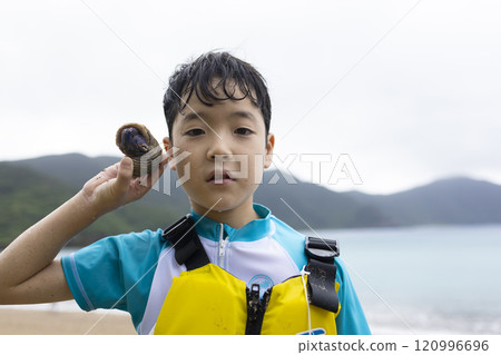 Purple hermit crab of Amami Oshima 120996696
