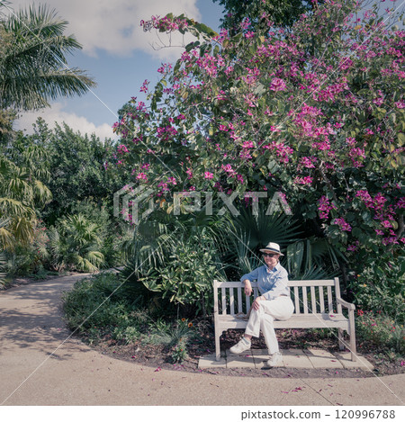 A beautiful day in a park 120996788