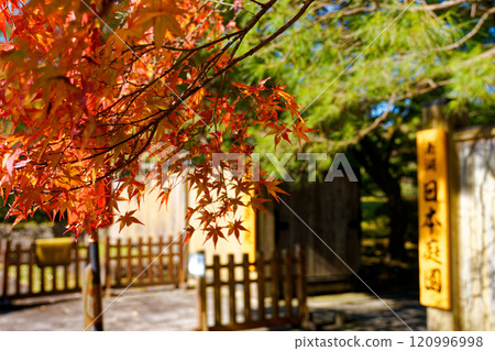 Autumn at Nanko Japanese Garden in Shirakawa City 120996998