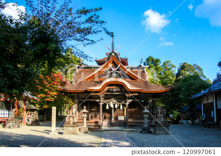 柏原八幡神社 120997061
