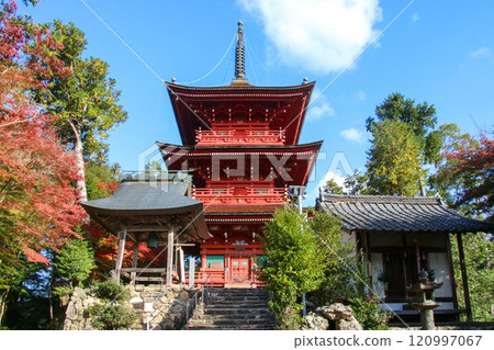 柏原八幡神社 120997067
