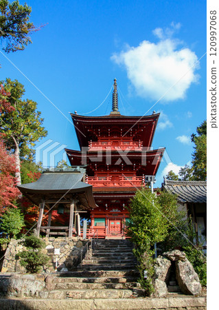 柏原八幡神社 柏原八幡神社 120997068