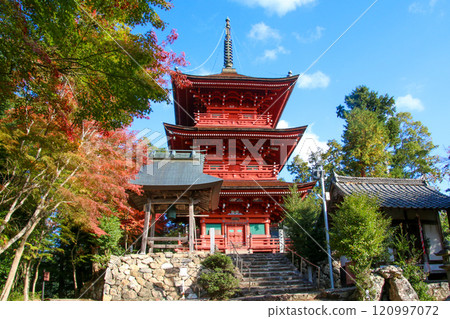 Kashiwara Hachiman Shrine 120997072