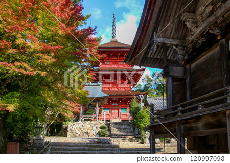 Kashiwara Hachiman Shrine 120997098