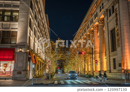Nihonbashi Illumination 2024-2025 Nihonbashi Illumination 2024-2025 120997130