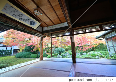 Autumn leaves at Genkoan 120997247