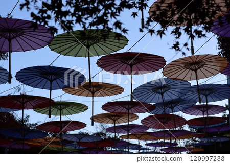 Colorful Umbrella Sky - Beautiful scenery painted by Japanese umbrellas 120997288