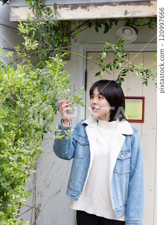 一位女士正在觀察花園裡的植物 一位女士正在觀察花園裡的植物 120997666