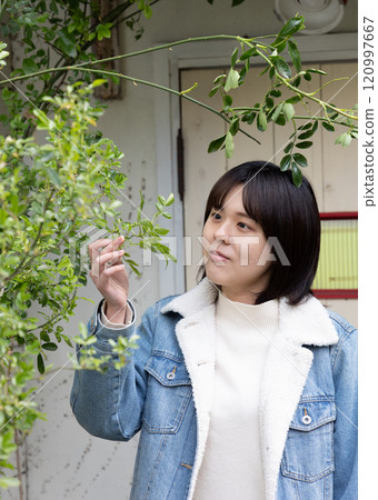 一位女士正在觀察花園裡的植物 120997667