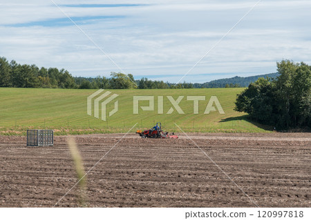 [富良野市洋蔥收穫與拖拉機] 120997818