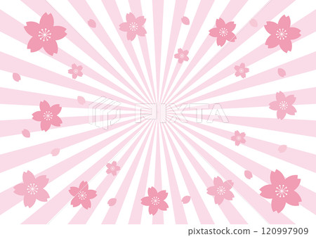 Cherry blossoms, concentrated lines, light pink background 120997909
