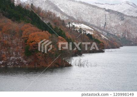 Snow and autumn leaves at Tokuyama Dam Lake 120998149