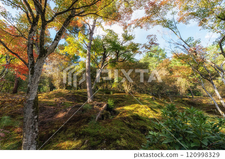 Tenryu-ji Temple Autumn 120998329