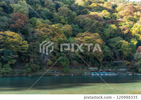 Katsura River during Autumn 120998335