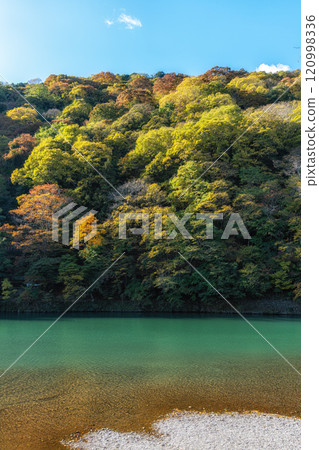 Katsura River during Autumn 120998336