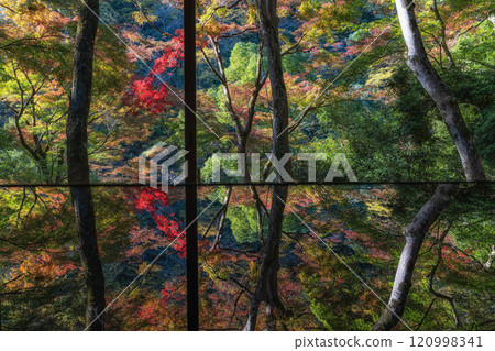 Arashiyama Yusai Tei Gallery 120998341